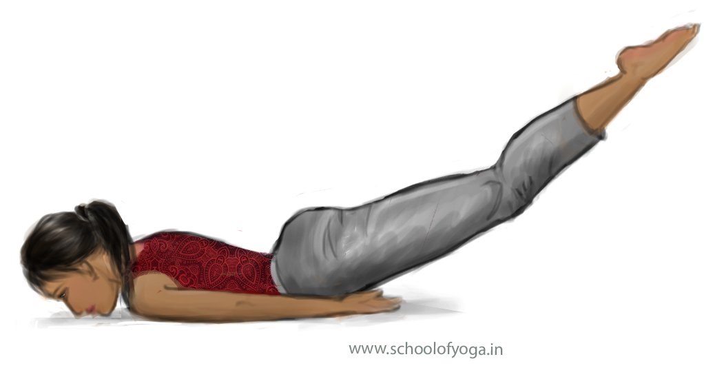 Learn Locust Posture and Locust Pose in Yoga -Vedic Health Yoga