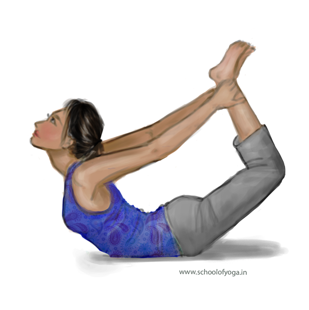 Dhanurasana  bow pose  school of yoga